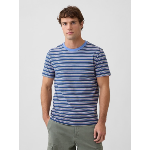 Gap Everyday Soft Stripe Crewneck T-Shirt