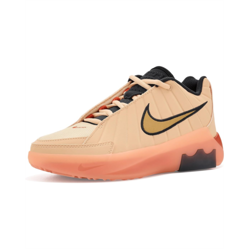Kids Nike Kids Lebron Witness IX (Big Kid)