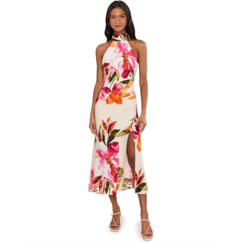 Womens Adrianna Papell Printed Satin Dress