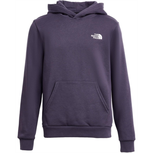 Boys The North Face Kids Evolution Simple Dome Pullover Hoodie (Little Kid/Big Kid)