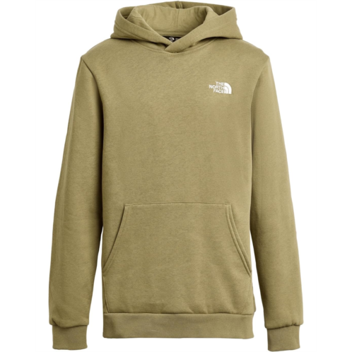 Boys The North Face Kids Evolution Simple Dome Pullover Hoodie (Little Kid/Big Kid)