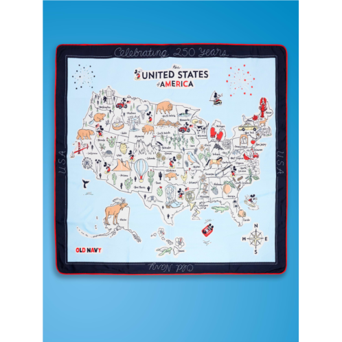 Old Navy x Disney Picnic Blanket for the Family