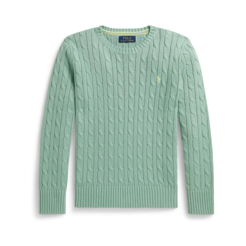 Boys Polo Ralph Lauren Kids Cable-Knit Cotton Sweater (Big Kid)