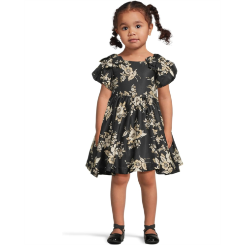 Girls Janie and Jack Floral Dressy Dress (Infant)