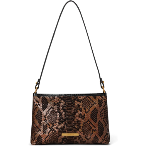 Brahmin Lorelei