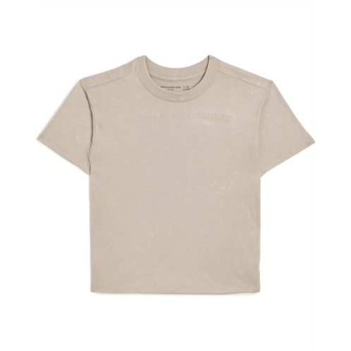 Boys abercrombie kids Sunfaded Knit Top (Big Kids)