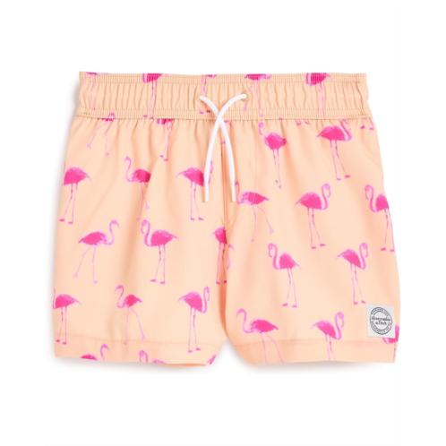 Boys abercrombie kids Core Poly Swim Trunks (Big Kids)