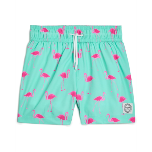 Boys abercrombie kids Core Poly Swim Trunks (Big Kids)