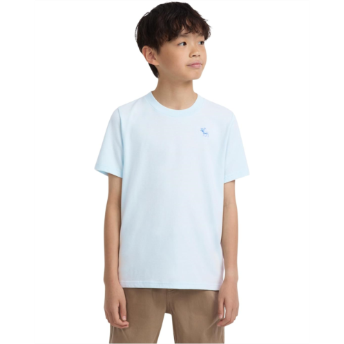 Boys abercrombie kids Short Sleeve Essential Tee (Little Kid/Big Kid)