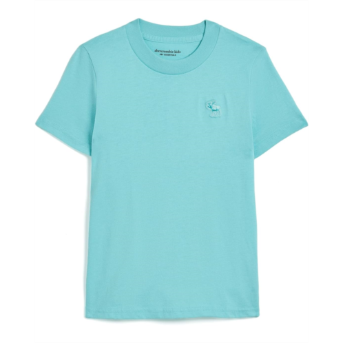 Boys abercrombie kids Short Sleeve Essential Tee (Little Kid/Big Kid)