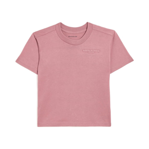 Boys abercrombie kids Sunfaded Knit Top (Big Kids)
