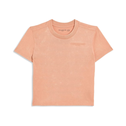 Boys abercrombie kids Sunfaded Knit Top (Big Kids)