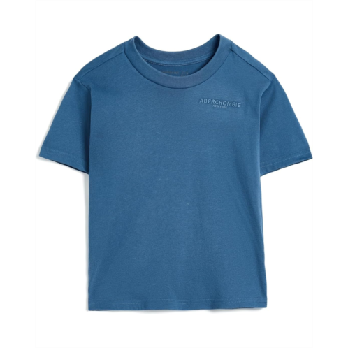 Boys abercrombie kids Sunfaded Knit Top (Big Kids)