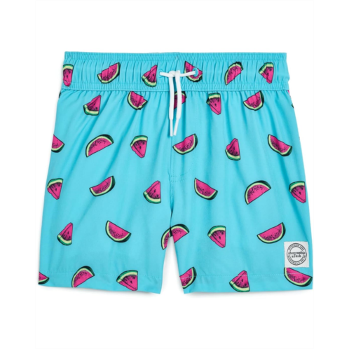 Boys abercrombie kids Core Poly Swim Trunks (Big Kids)