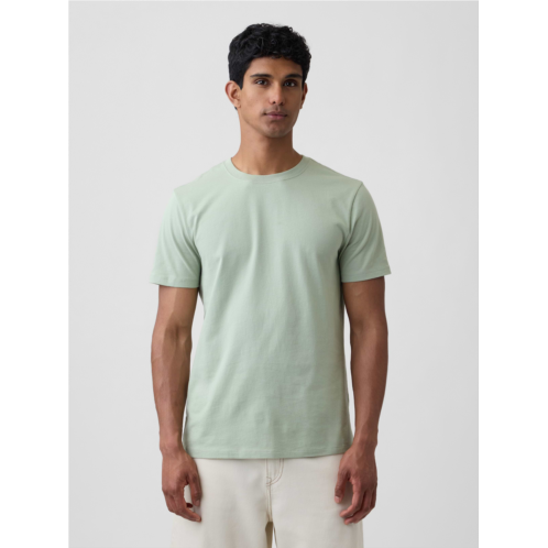Gap Everyday Soft Crewneck T-Shirt