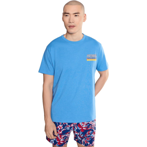 Mens Chubbies Chubbies The Heck Yes Brother (non Pocket Graphic T-shirt)