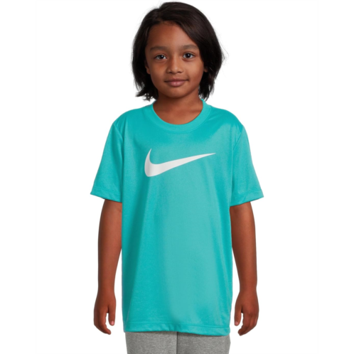 Kids Nike Kids Legend Dri-FIT T-Shirt (Big Kid)