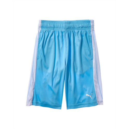 PUMA form stripe short