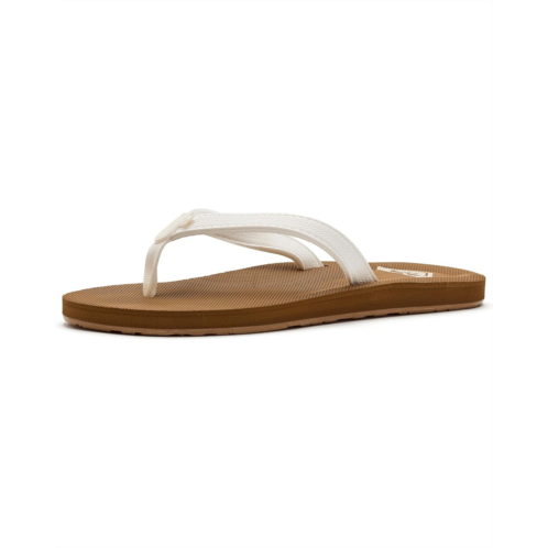 Roxy Porto Wp