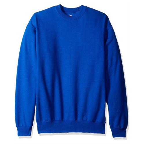 Mens Hanes EcoSmart Sweatshirt
