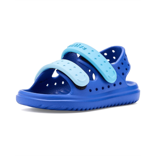 Kids Native Shoes Kids Chase (Toddler)