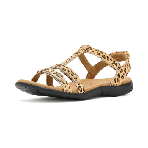 Taos Footwear Trophy 2