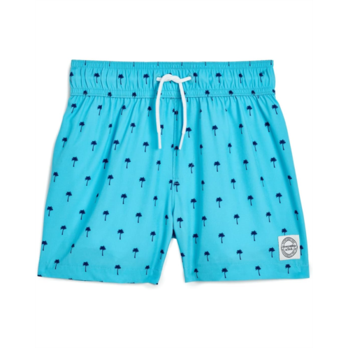 Boys abercrombie kids Core Poly Swim Trunks (Big Kids)