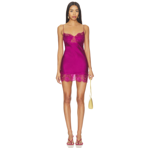 Angelic Mini Dress LIONESS