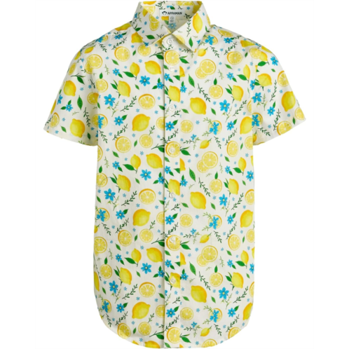 Appaman Kids Day Party Shirt (Toddler/Little Kid/Big Kid)