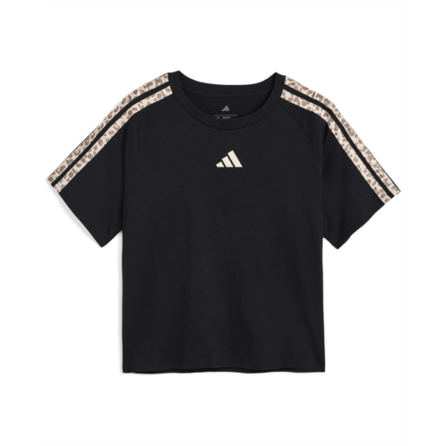 Girls adidas Kids Aop 3S Raglan Tee (Big Kid)
