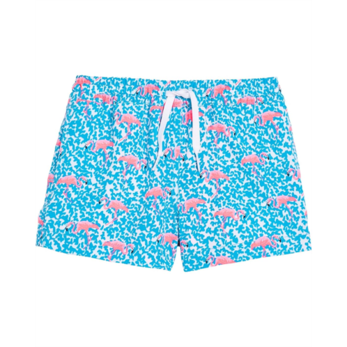 Boys Chubbies Kids The Domingos Are For Flamingos Lined Swim Trunk (Big Kid)