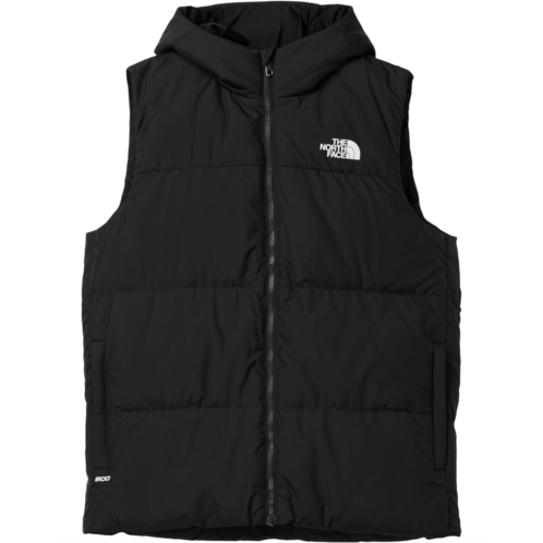 The North Face Kids North Down Hooded Vest (Little Kid/Big Kid)