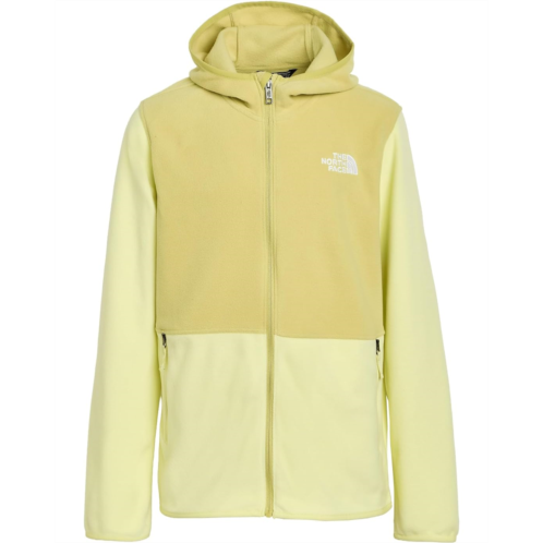 The North Face Kids Glacier Full Zip Hoodie (Little Kid/Big Kid)