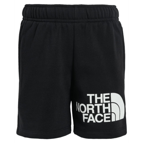 The North Face Kids Evolution Half Dome 5 Shorts (Little Kid/Big Kid)