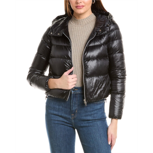 Herno jacket