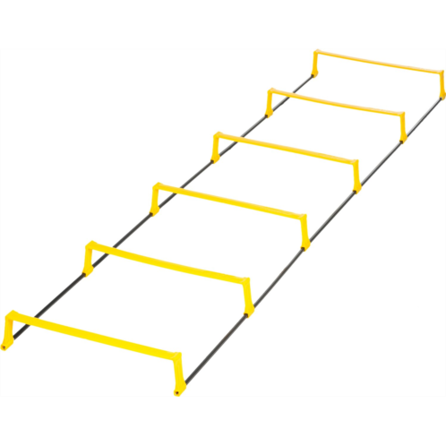 SKLZ Elevation Ladder