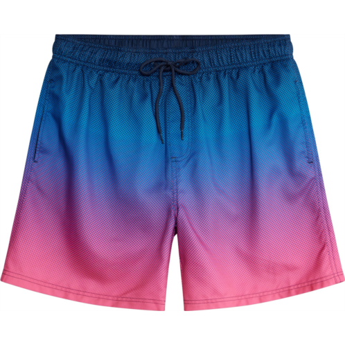 Burnside Mens Ombre Volley Swim Shorts Blue