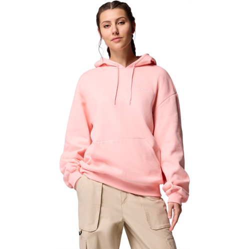 Columbia Sportswear Womens Aldermore Hoodie White