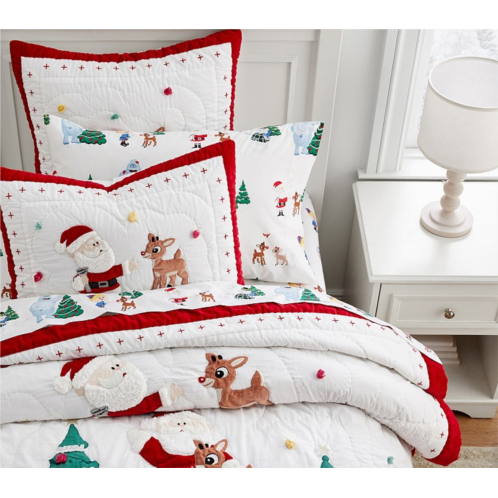 Potterybarn Rudolph Quilt & Shams