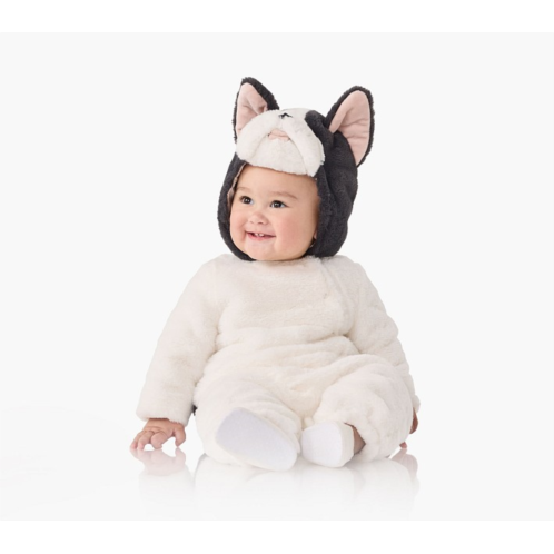 Potterybarn Baby Frenchie Dog Costume