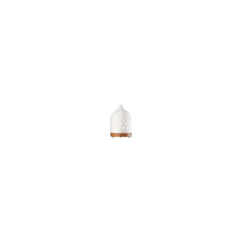 Potterybarn Supernova Aroma Diffuser