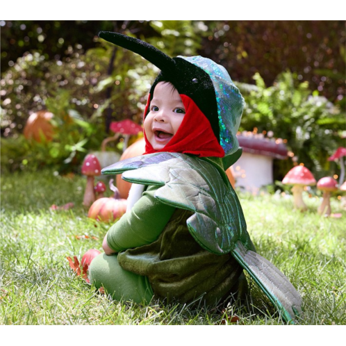 Potterybarn Baby Hummingbird Halloween Costume