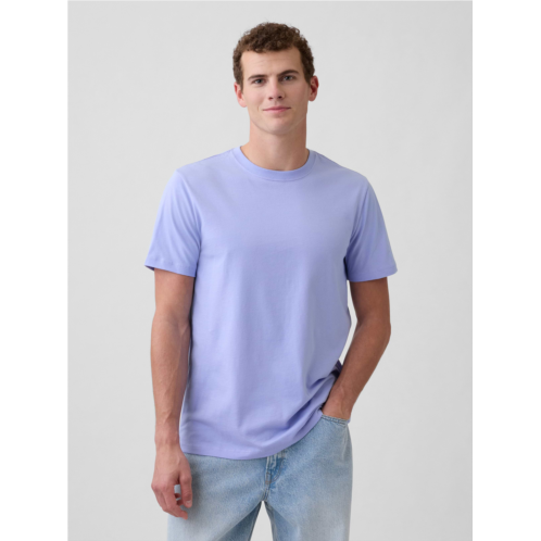 Gap Everyday Soft Crewneck T-Shirt