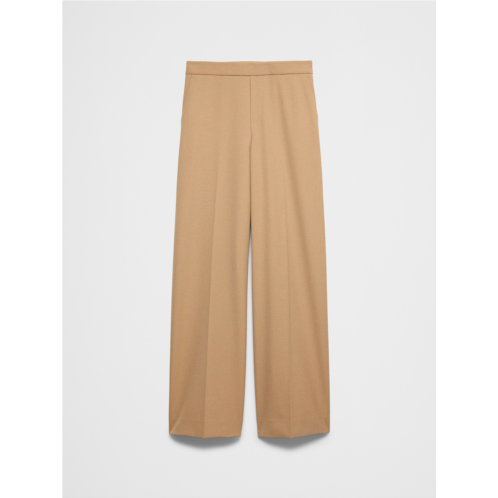 bananarepublic Hayden Sculpted Stretch Wide-Leg High-Rise Pant