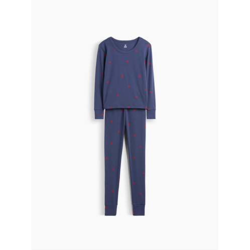 Gap Kids Organic Brushed Cotton Print PJ Set