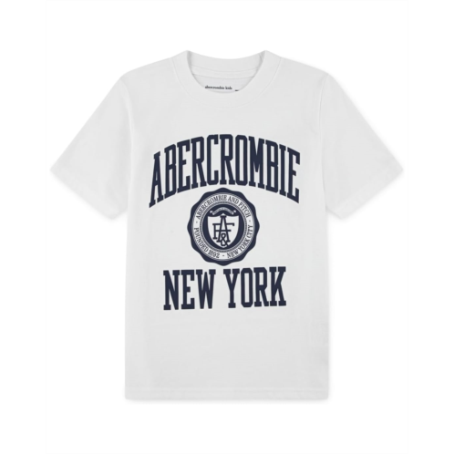 abercrombie kids Collegiate Tee (Big Kid)
