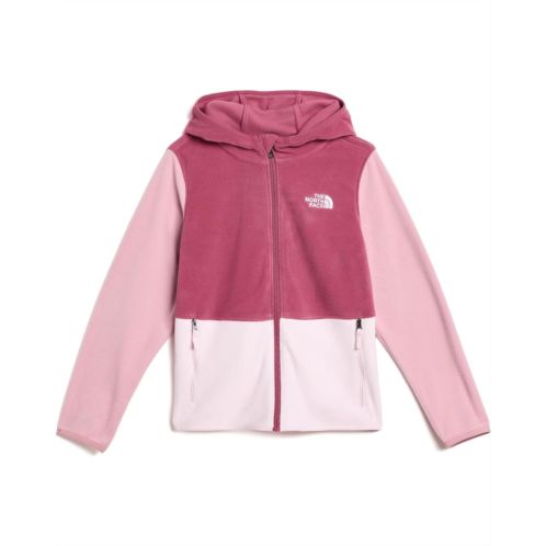 Kids The North Face Kids Glacier Full Zip Hoodie (Toddler)