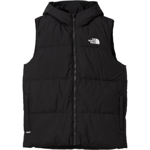 The North Face Kids North Down Hooded Vest (Little Kid/Big Kid)