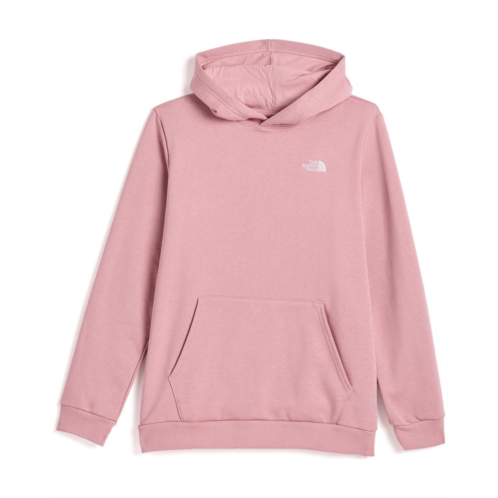 Kids The North Face Kids Evolution Simple Dome Pullover Hoodie (Little Kid/Big Kid)