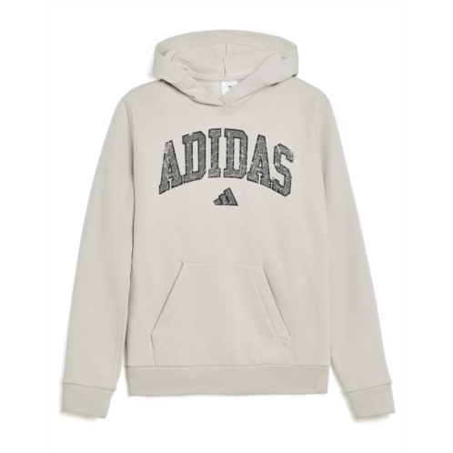 Adidas Kids Collegiate Arch Fleece Hooded Pullover (Big Kid)